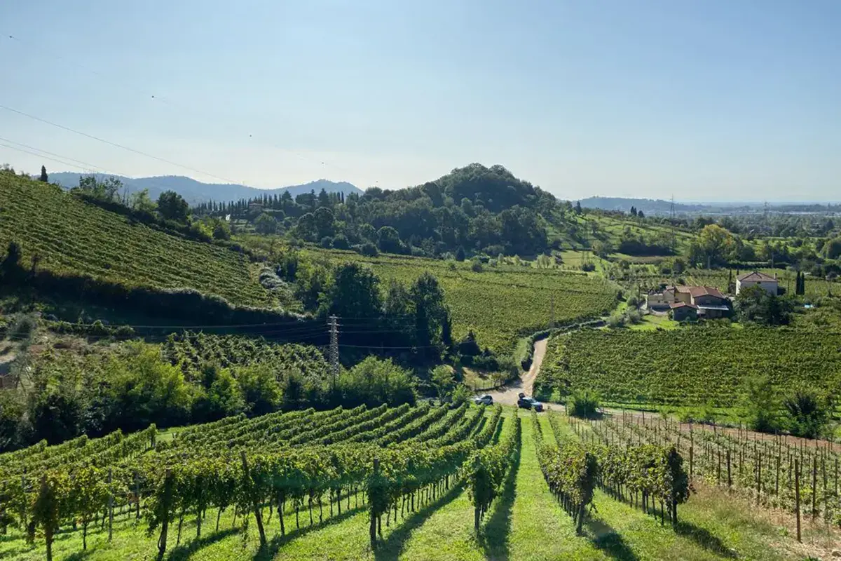 Le colline di Scanzorosciate Moscato di Scanzo, un settembre intenso per promuovere vino e territorio